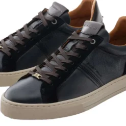 Ambitious 136057128- Trainer.