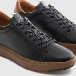 Ambitious 136726584- Trainer.