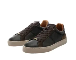 Ambitious 136057315- Trainer.