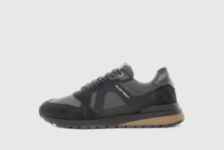 Ambitious 1414611184- Trainer.