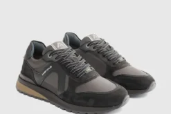 Ambitious 1414611184- Trainer.