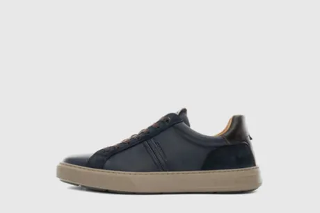 Ambitious 141347128- Trainer.