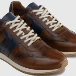 Ambitious Cognac and Navy Trainer|113196810