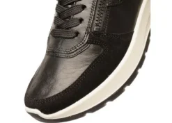 Ara 122511201- Trainer.