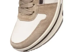 Ara 122754095- Trainer.