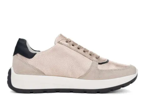 Ara 122511208- Trainer.