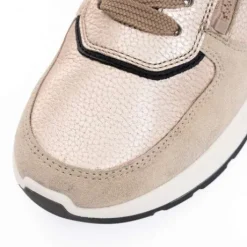 Ara 122511208- Trainer.