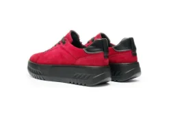 Ara 124670319- Trainer.