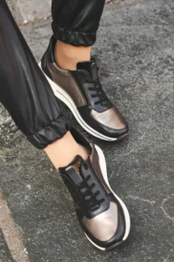 Ara 122483615-Trainer.