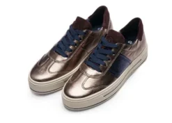 Ara 122301205-Trainer.