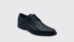 Dubarry 5880BLK Dasher- Laced Shoe.