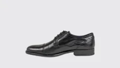 Dubarry 4889BLK Dereck- Laced Shoe.