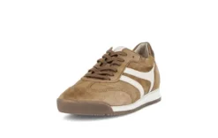 Gabor Brown Suede Trainer|8343024