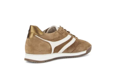 Gabor Brown Suede Trainer|8343024