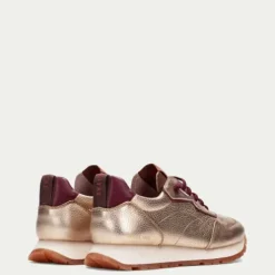 Hispanitas CHI254312G-Trainer.