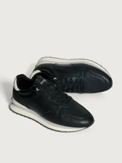 Hoff Chicago 22502620- Trainer.