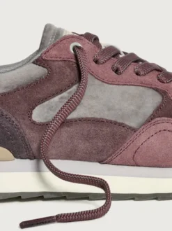 Hoff Melbourne 22502004- Trainer.