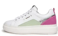 NeroGiardini E409910D70-Trainer.