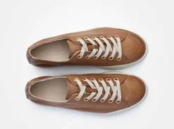 Paul Green 4790637- Trainer.