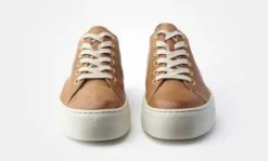 Paul Green 4790637- Trainer.