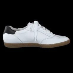 Paul Green 5350086- Trainer.