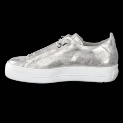 Paul Green 5017123- Trainer.