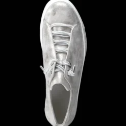 Paul Green 5017123- Trainer.