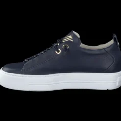 Paul Green 5017013- Trainer.