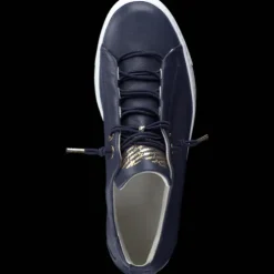 Paul Green 5017013- Trainer.