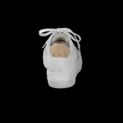 Paul Green 5330015- Trainer.