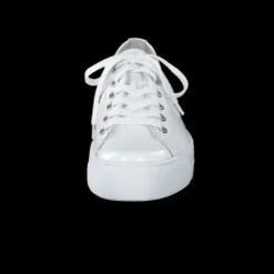 Paul Green 4790155- Trainer.