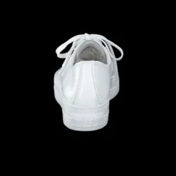 Paul Green 4790155- Trainer.