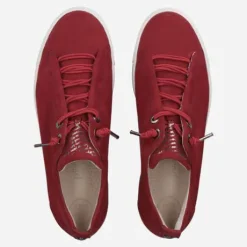 Paul Green 5017326- Trainer.