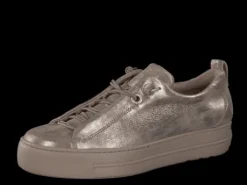 Paul Green 5417066- Trainer.