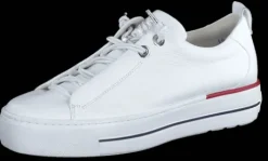 Paul Green 5017213-Trainer.