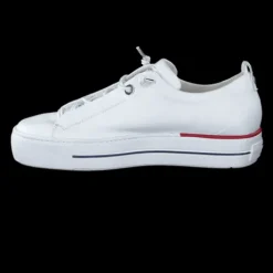 Paul Green 5017213-Trainer.