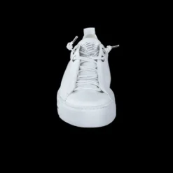 Paul Green 5017213-Trainer.