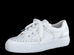 Paul Green 5381036-Trainer.