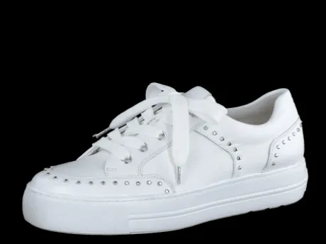 Paul Green 5381036-Trainer.