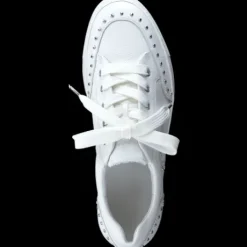 Paul Green 5381036-Trainer.