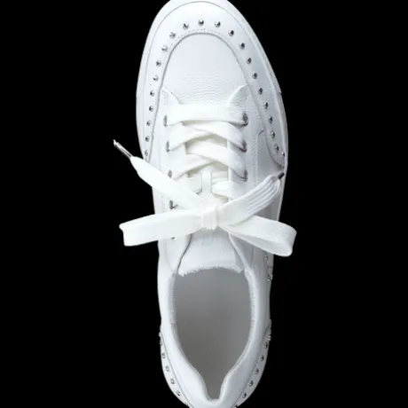 Paul Green 5381036-Trainer.