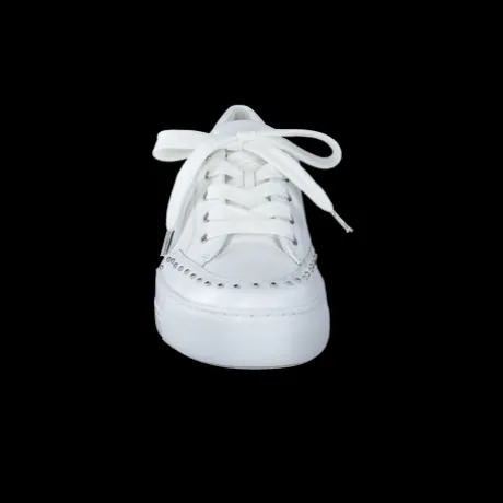 Paul Green 5381036-Trainer.