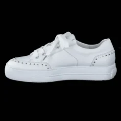 Paul Green 5381036-Trainer.