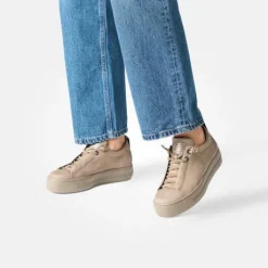 Paul Green 5017418-Trainer.