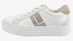 Paul Green 5430067-Trainer.