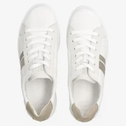 Paul Green 5430067-Trainer.