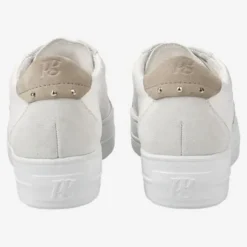 Paul Green 5430067-Trainer.