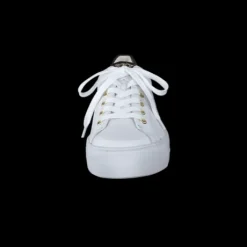 Paul Green 5320085-Trainer.