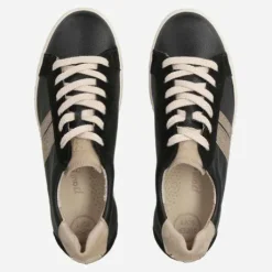 Paul Green 5430037-Trainer.