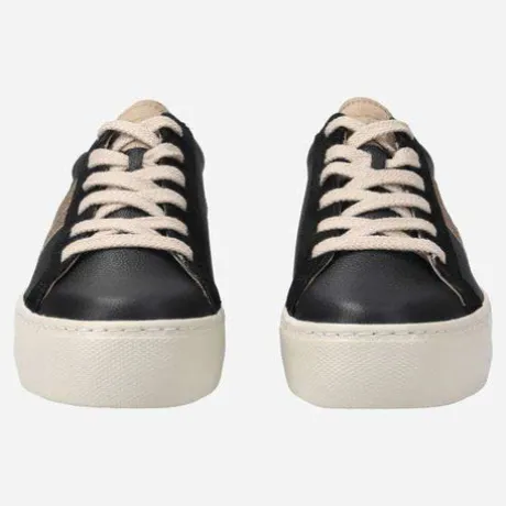 Paul Green 5430037-Trainer.